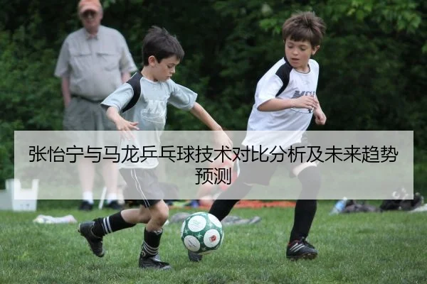张怡宁与马龙乒乓球技术对比分析及未来趋势预测